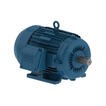 Motor Elétrico Trifásico 0,5CV 4 Polos 220/380V B3D Carcaça 71